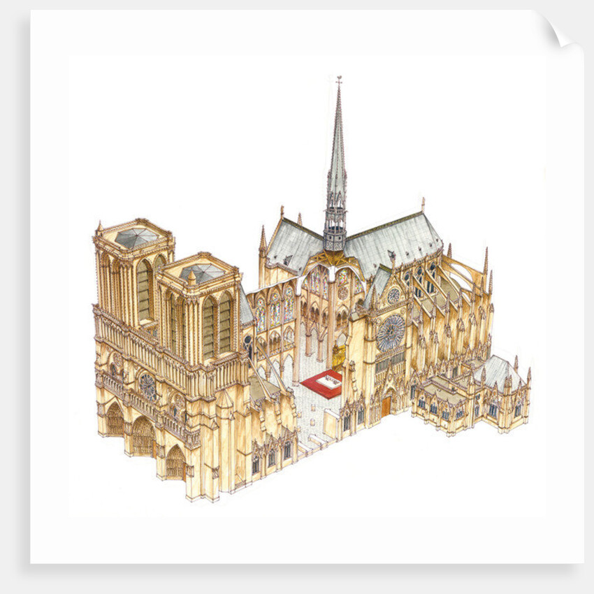 Notre-Dame Cathedral. Paris, France, 2014 by Fernando Aznar Cenamor