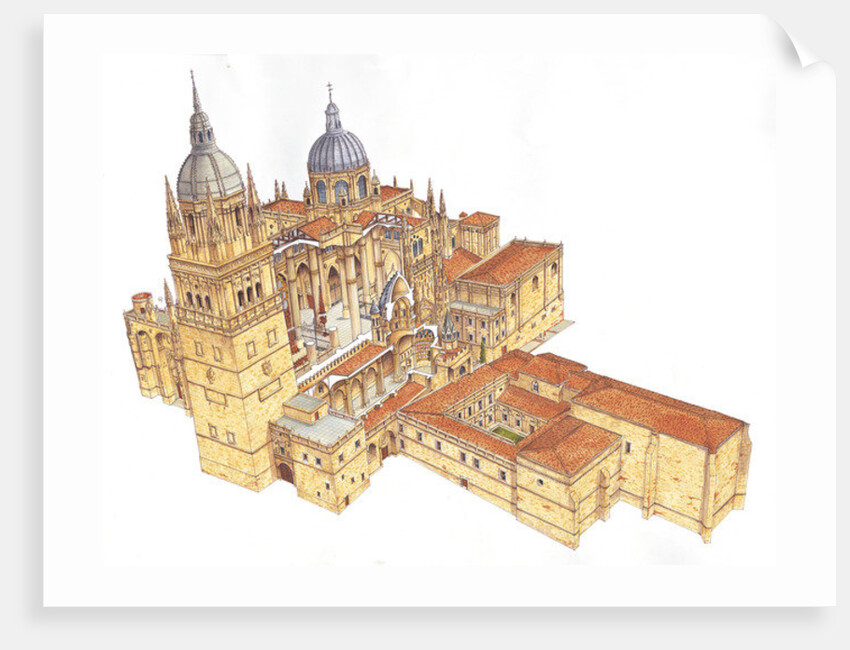 Salamanca Cathedral. Spain by Fernando Aznar Cenamor