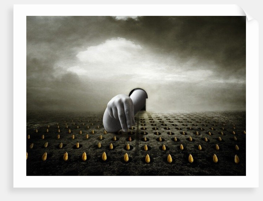 Tulip thief, 2013 by Johan Lilja