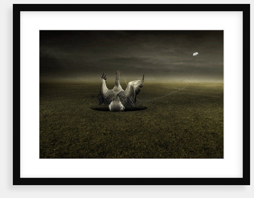 Help on the way, 2013 by Johan Lilja