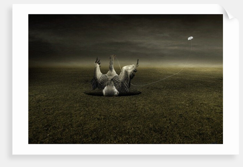 Help on the way, 2013 by Johan Lilja