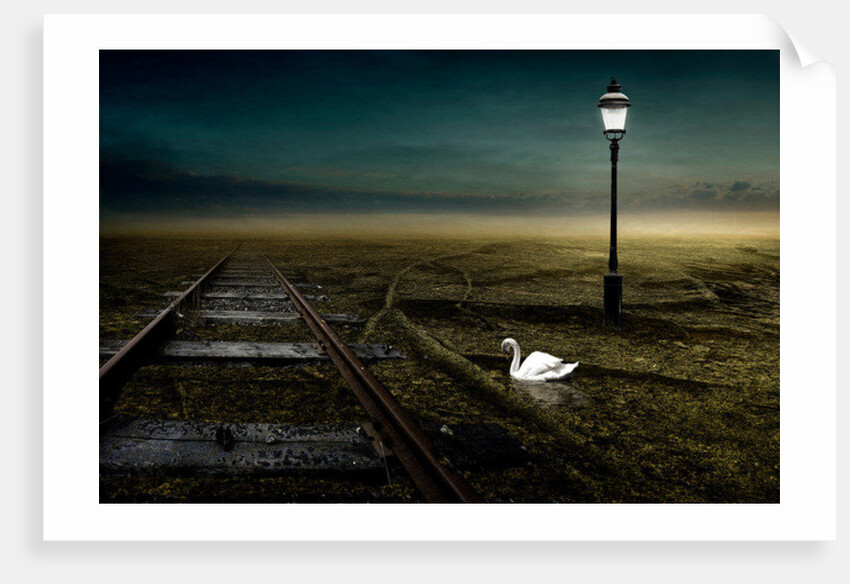 Railway, 2013 by Johan Lilja