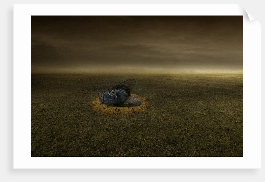 End of a goal, 2013 by Johan Lilja