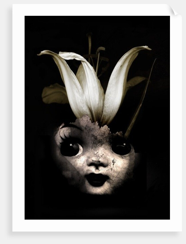 Doll flower, 2013 by Johan Lilja