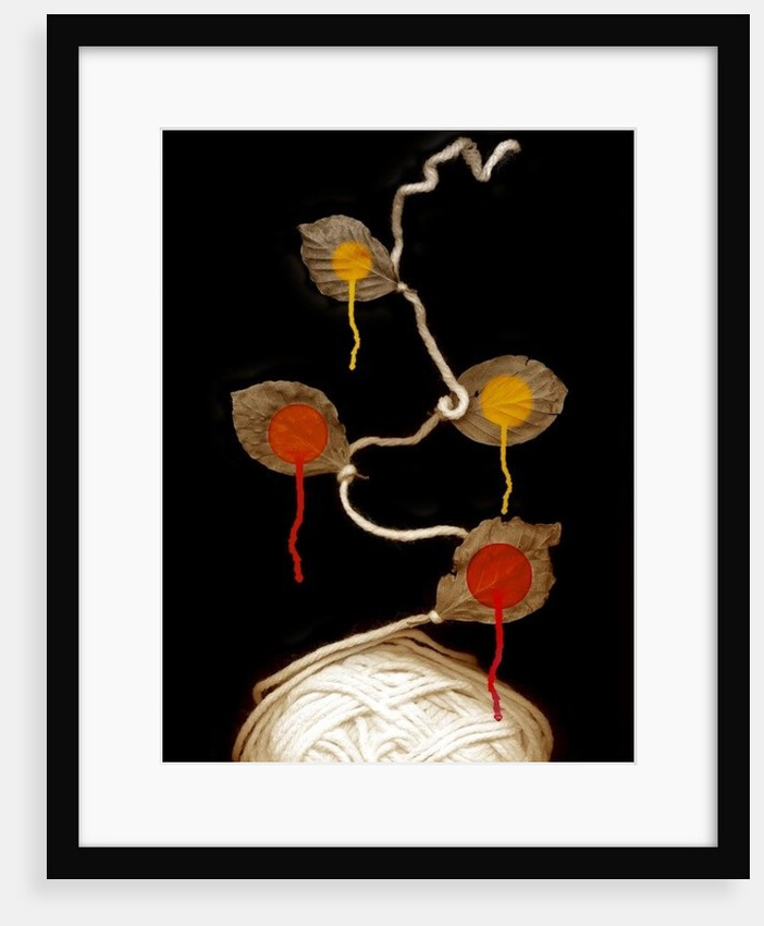 Yarn bloom, 2013 by Johan Lilja