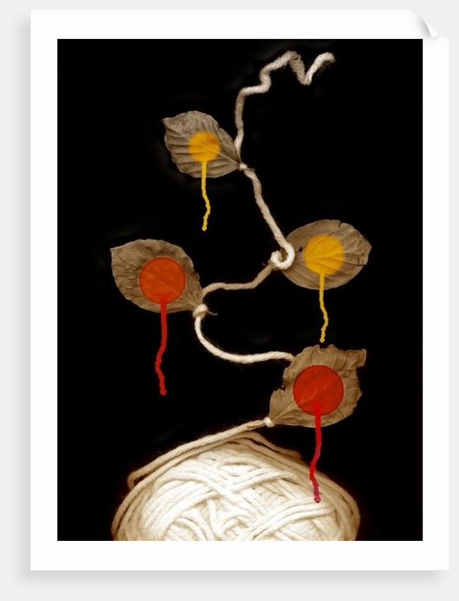 Yarn bloom, 2013 by Johan Lilja