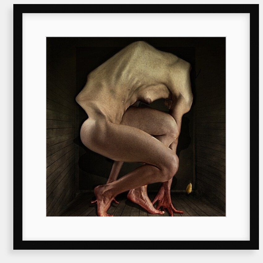 Shame, 2012 by Johan Lilja