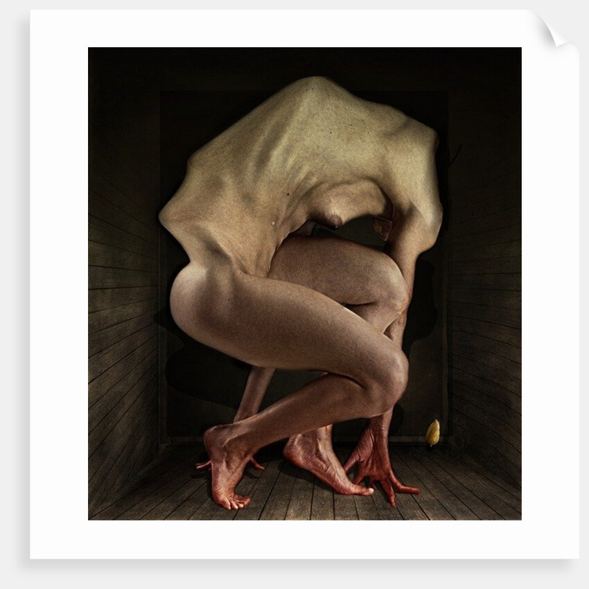 Shame, 2012 by Johan Lilja