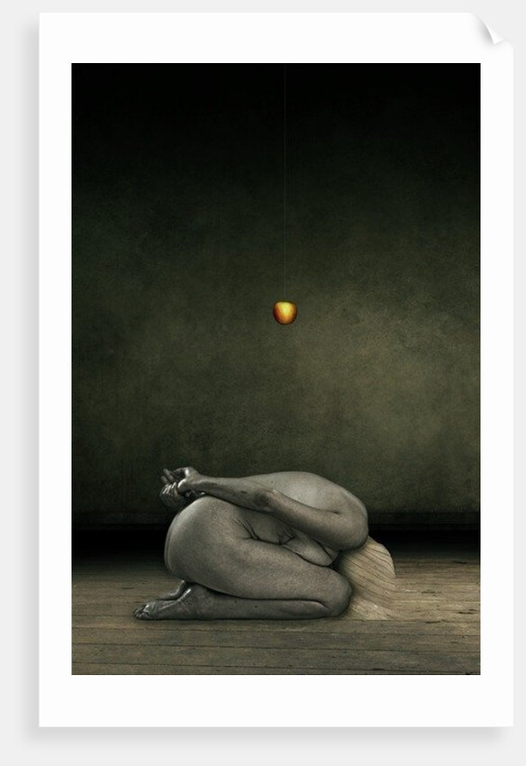 Hide my self, 2013 by Johan Lilja