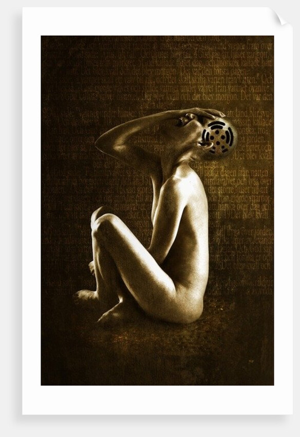 Scream, 2013 by Johan Lilja
