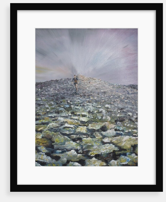 The 42nd Peak, 2012 by Vincent Alexander Booth