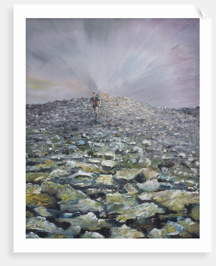 The 42nd Peak, 2012 by Vincent Alexander Booth