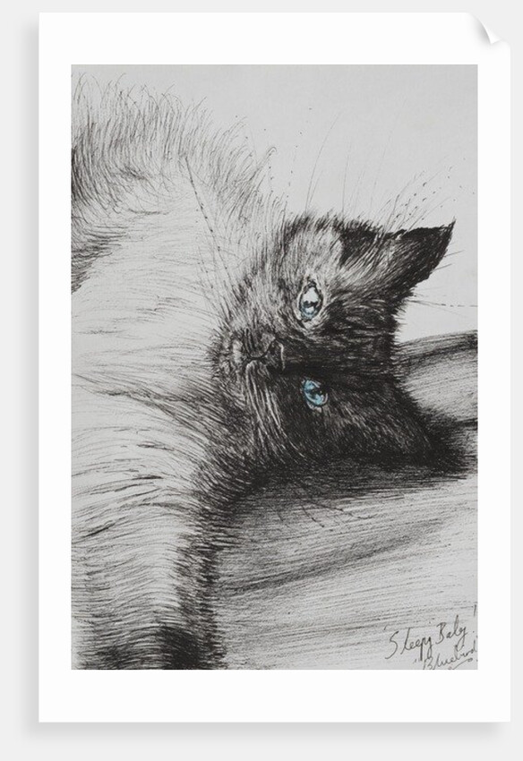 Reach, 2012 by Vincent Alexander Booth