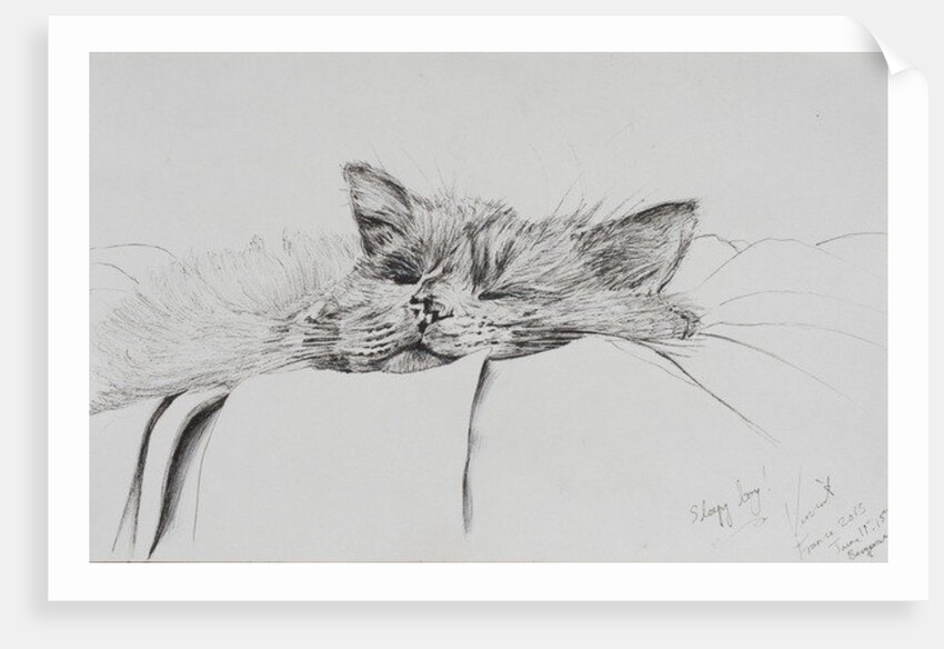 Monty sleepy boy, 2013 by Vincent Alexander Booth