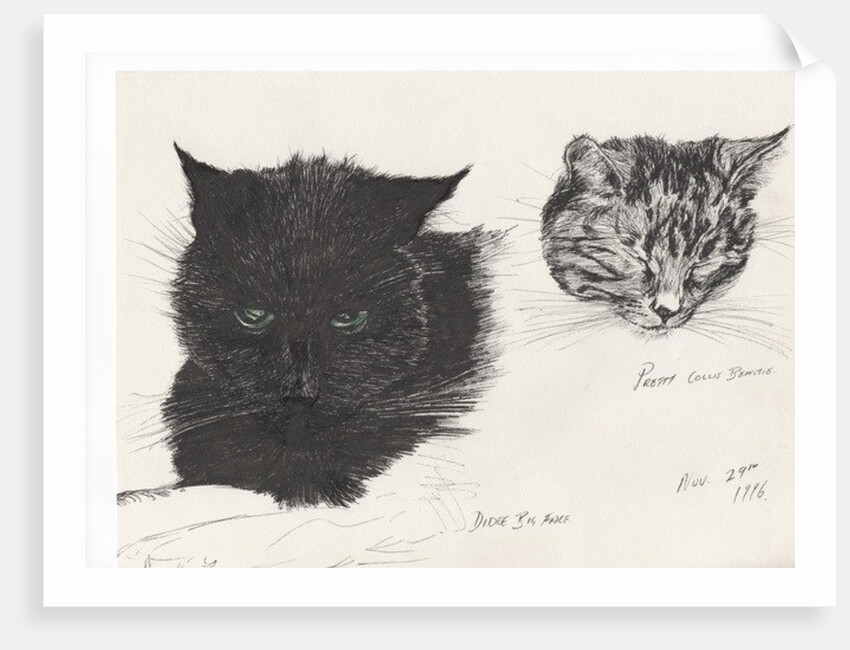 Diddybigface & colliebeastie, 1996 by Vincent Alexander Booth