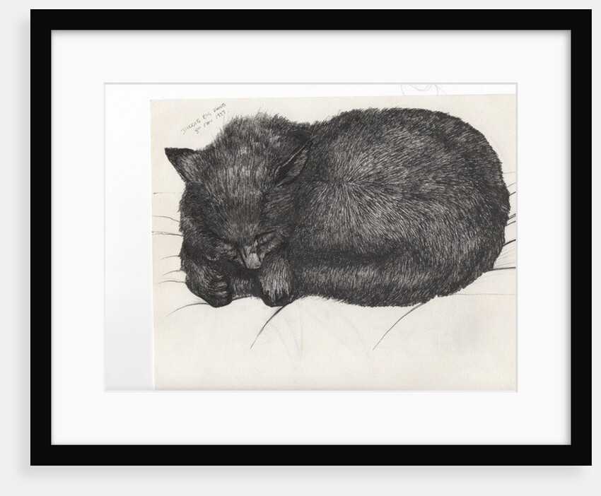 Diddy big face, 1997 by Vincent Alexander Booth