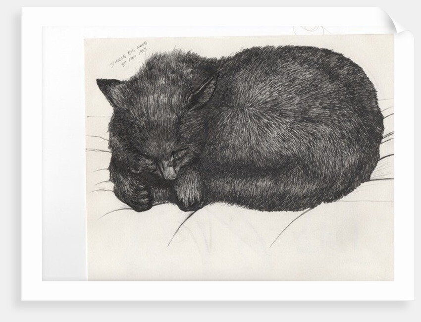 Diddy big face, 1997 by Vincent Alexander Booth