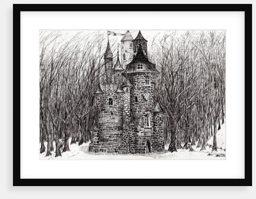 The Castle in the forest of Findhorn, 2006 by Vincent Alexander Booth