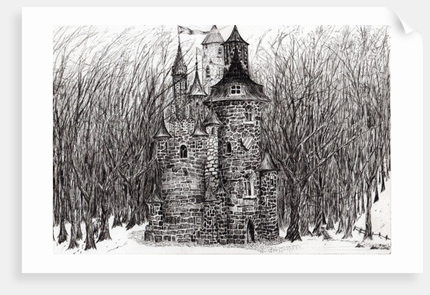 The Castle in the forest of Findhorn, 2006 by Vincent Alexander Booth