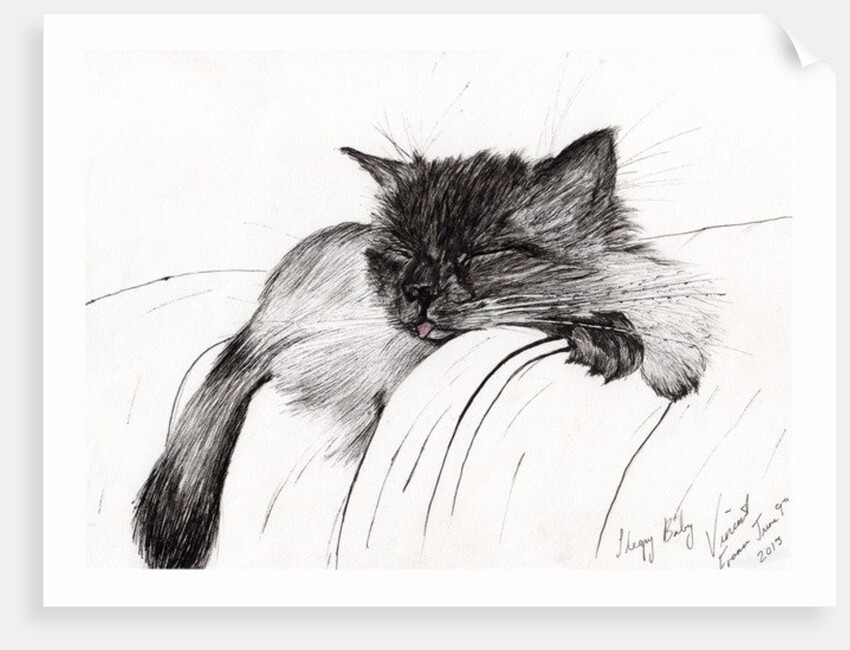 Sleepy Baby by Vincent Alexander Booth