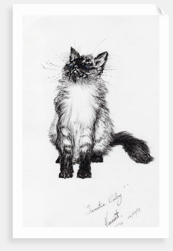 Sweetie baby, 2015 by Vincent Alexander Booth
