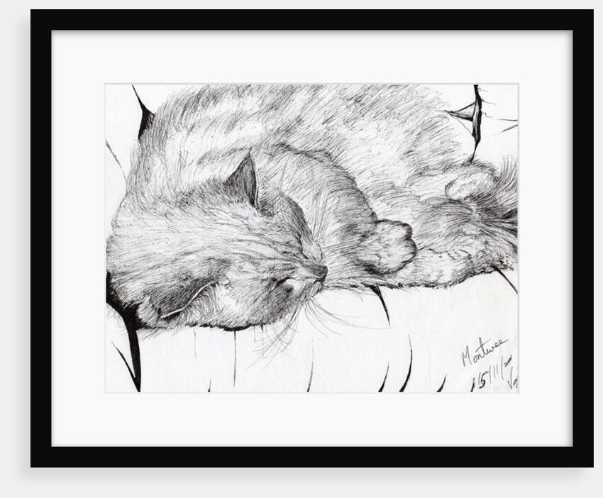 Montwee, 2000 by Vincent Alexander Booth