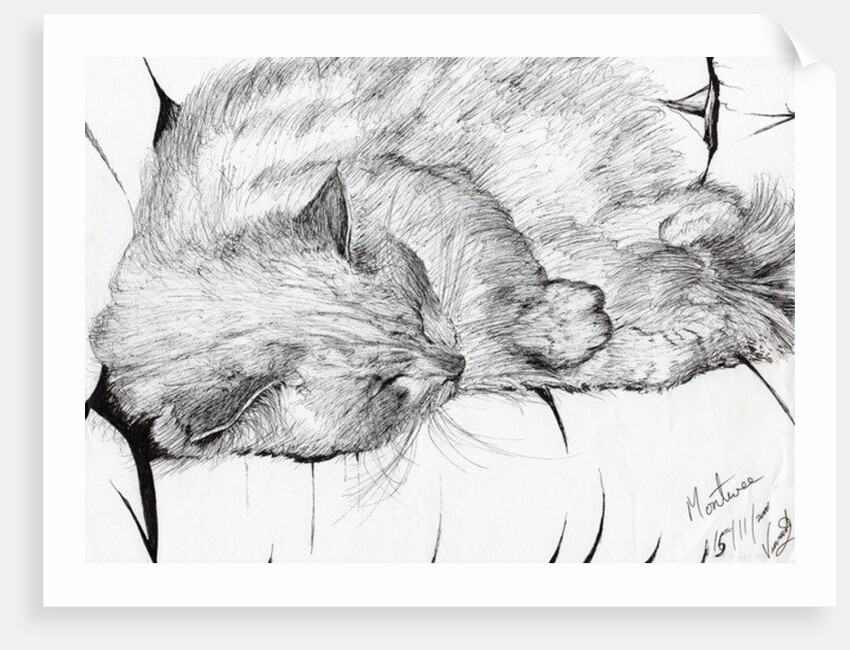 Montwee, 2000 by Vincent Alexander Booth