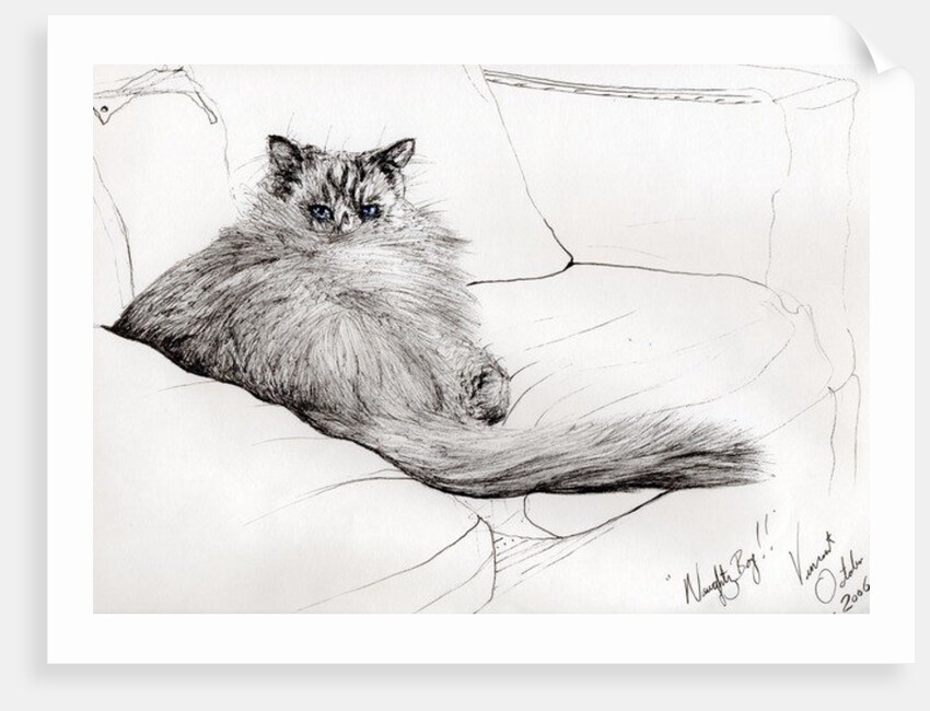 Naughty boy, 2006 by Vincent Alexander Booth