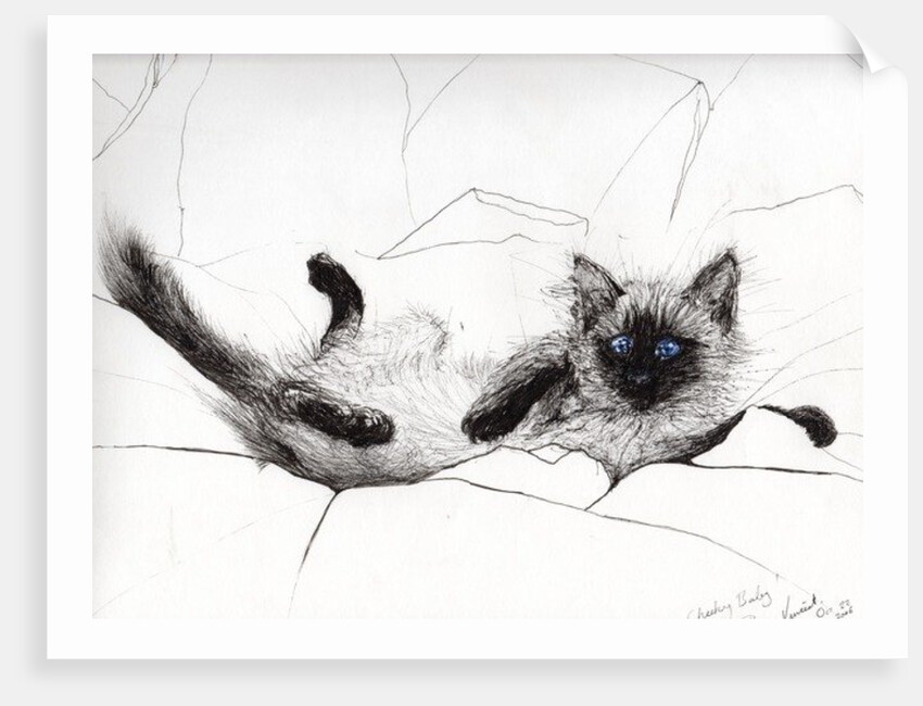 cheeky baby by Vincent Alexander Booth