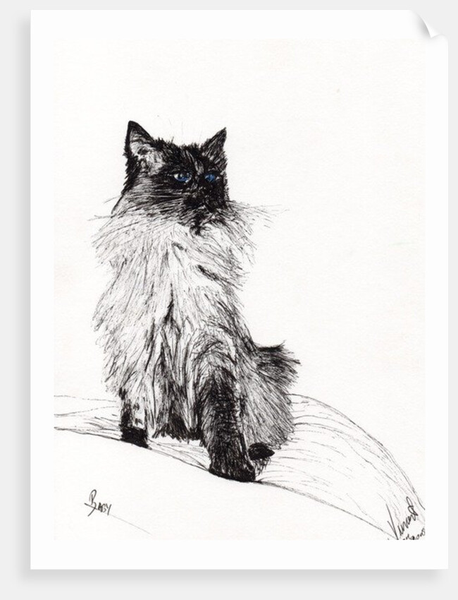 Baby, 2008, by Vincent Alexander Booth