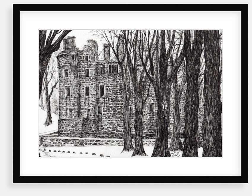 Huntly Castle Scotland, 2007 by Vincent Alexander Booth