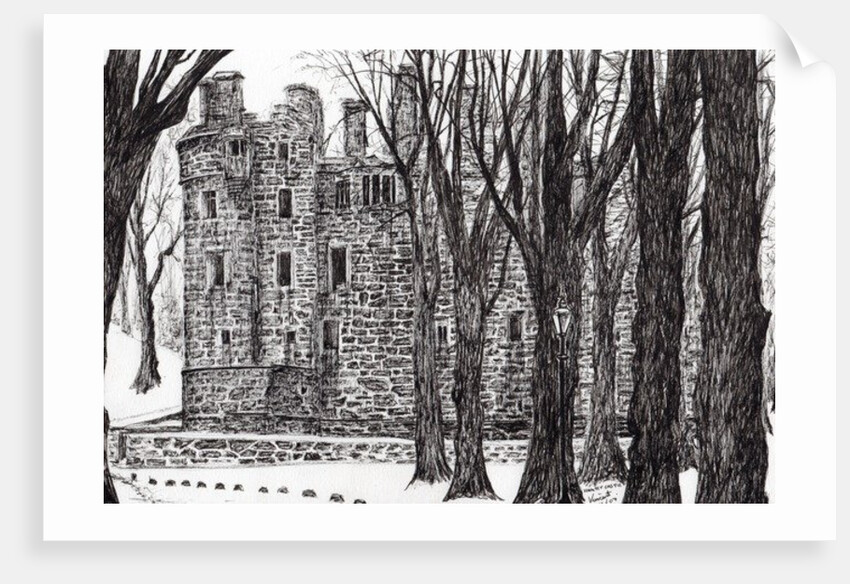 Huntly Castle Scotland, 2007 by Vincent Alexander Booth