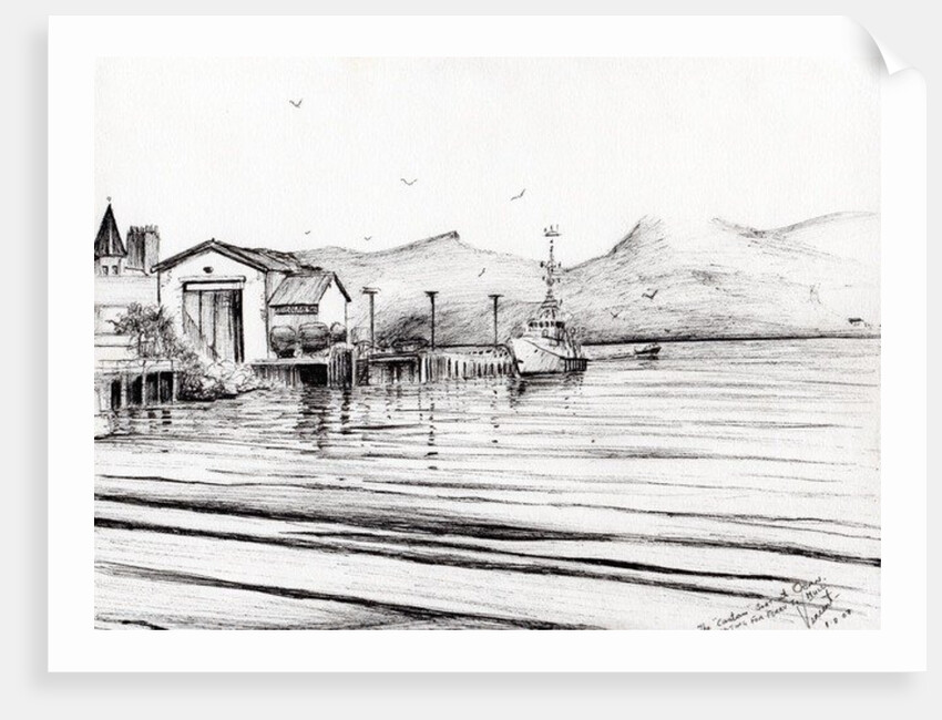 Customs boat at Oban, 2007 by Vincent Alexander Booth