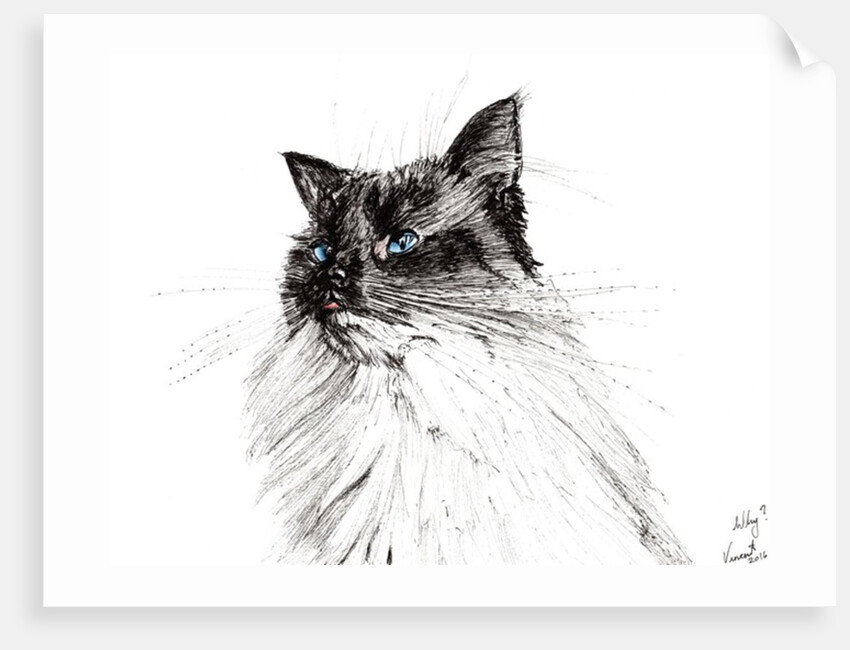 Why?, 2016 by Vincent Alexander Booth