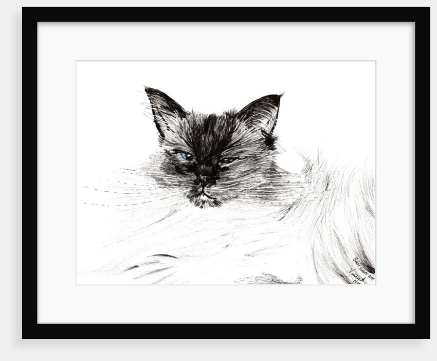 Sleepy eye, 2015 by Vincent Alexander Booth