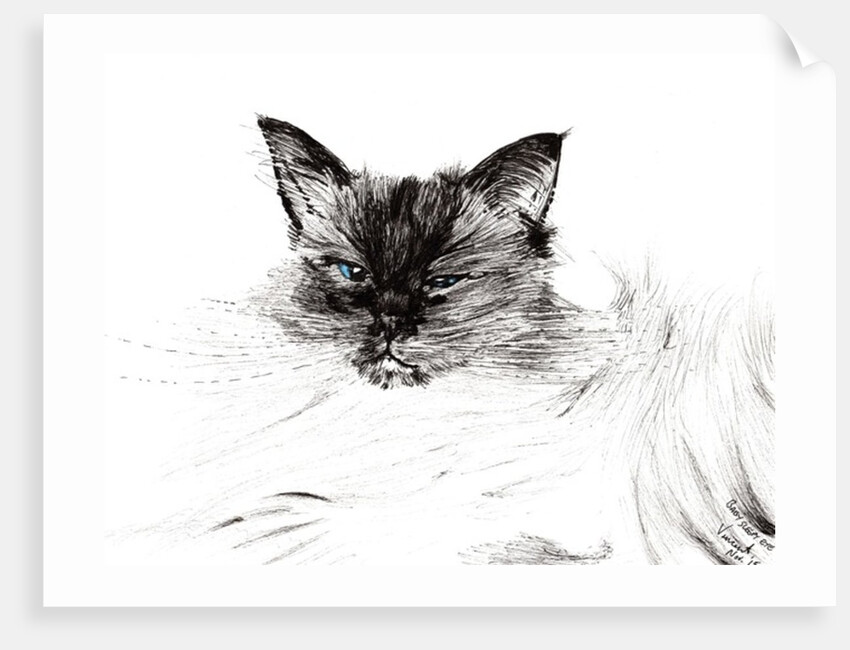 Sleepy eye, 2015 by Vincent Alexander Booth