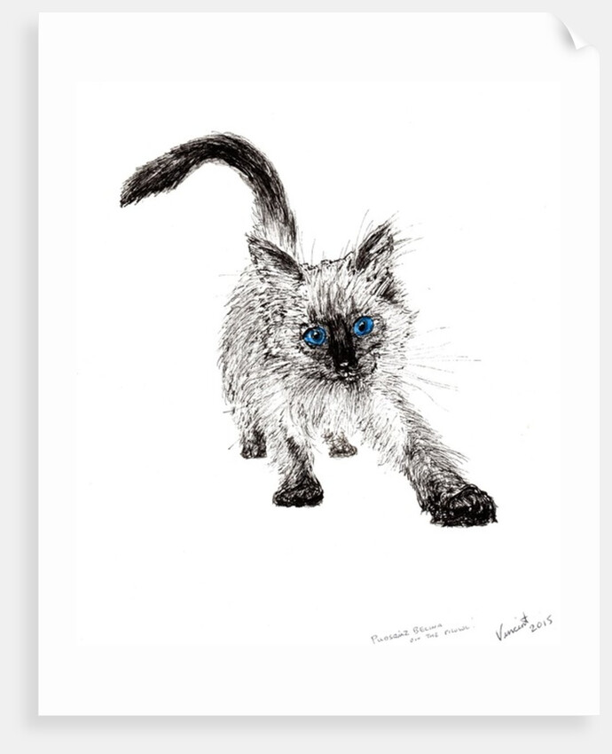 On the prowl !, 2015 by Vincent Alexander Booth