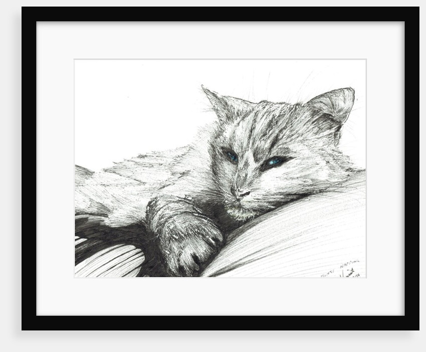 Monty napping, 2016 by Vincent Alexander Booth