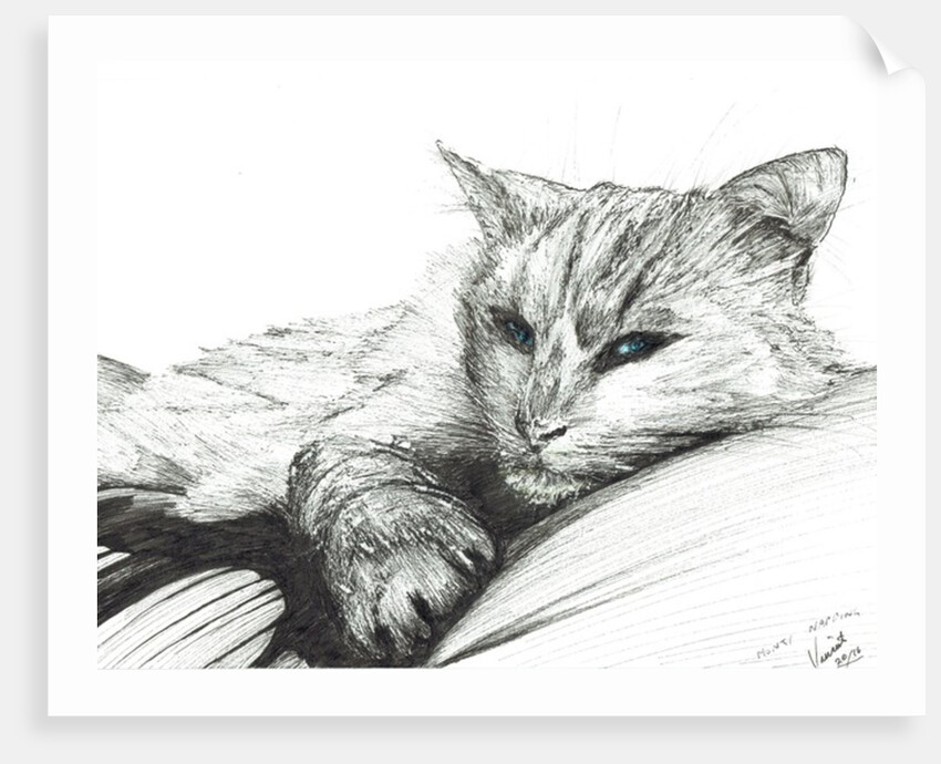 Monty napping, 2016 by Vincent Alexander Booth