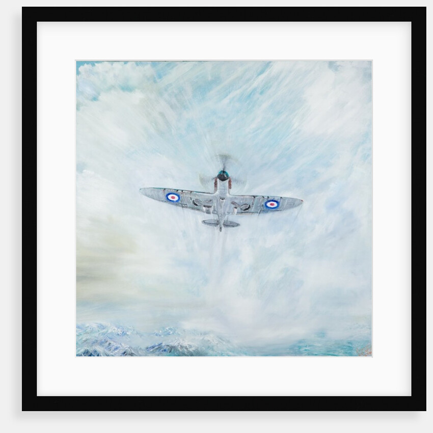 Spitfire 'Ace of Spades', 2016 by Vincent Alexander Booth