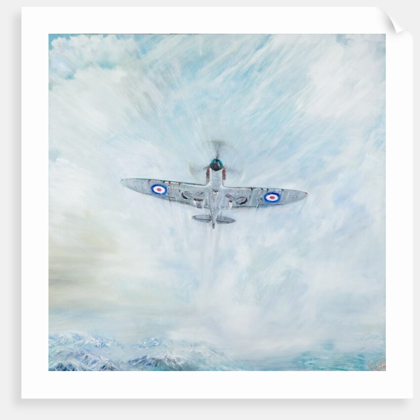 Spitfire 'Ace of Spades', 2016 by Vincent Alexander Booth