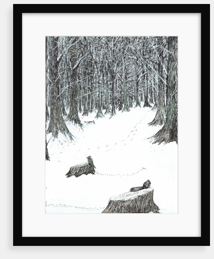 The Castle in the Forest of Findhorn, snow stumps, 2006 by Vincent Alexander Booth