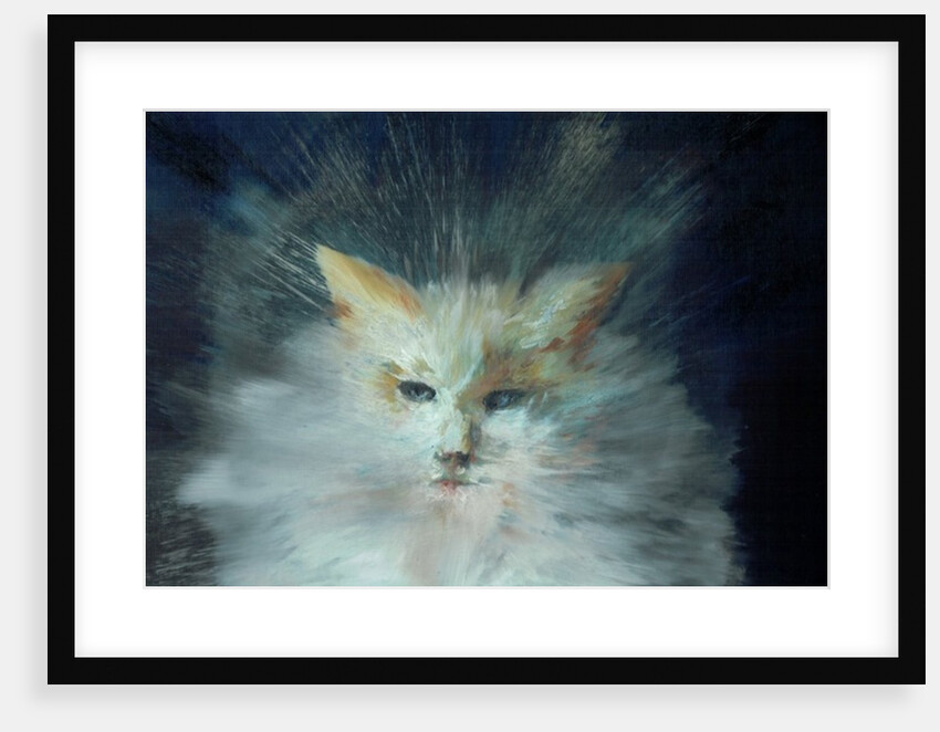 Monty fluffball, 2015 by Vincent Alexander Booth
