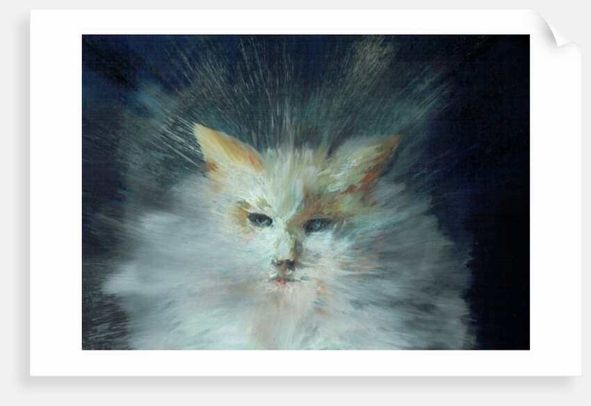 Monty fluffball, 2015 by Vincent Alexander Booth