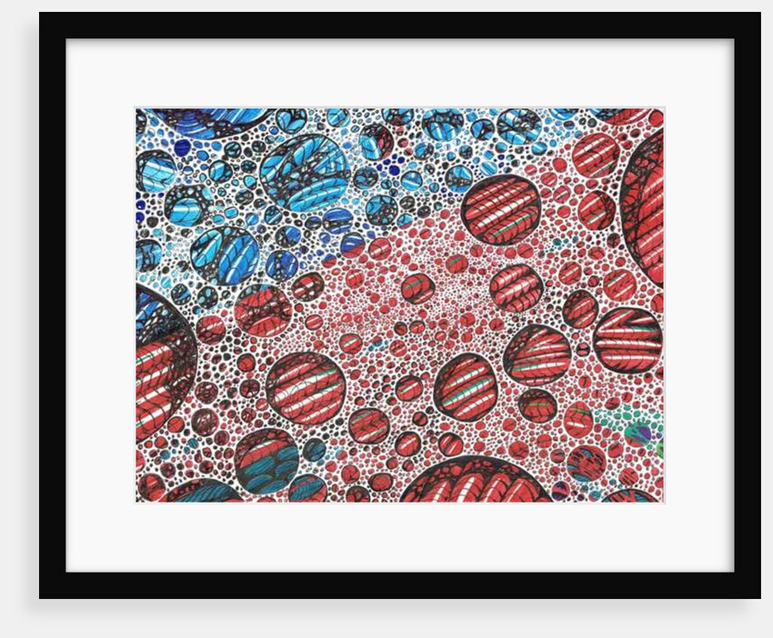 Casidlofaliton, 2016 by Vincent Alexander Booth