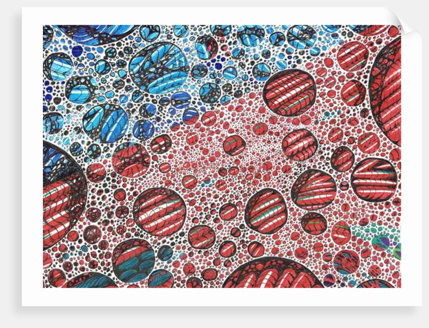 Casidlofaliton, 2016 by Vincent Alexander Booth