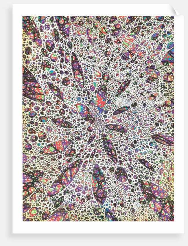 Stars give birth to Colour, 2016 by Vincent Alexander Booth