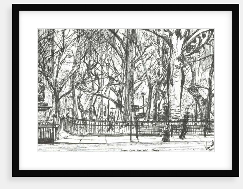 Madison square park New York, 2003 by Vincent Alexander Booth