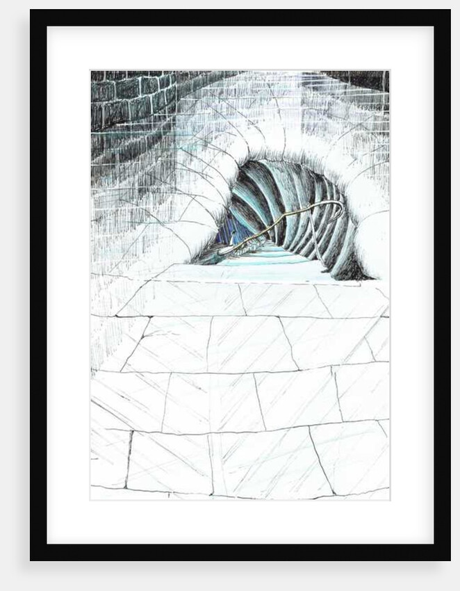 The Castle in the Forest of Findhorn, cellar steps, 2006 by Vincent Alexander Booth