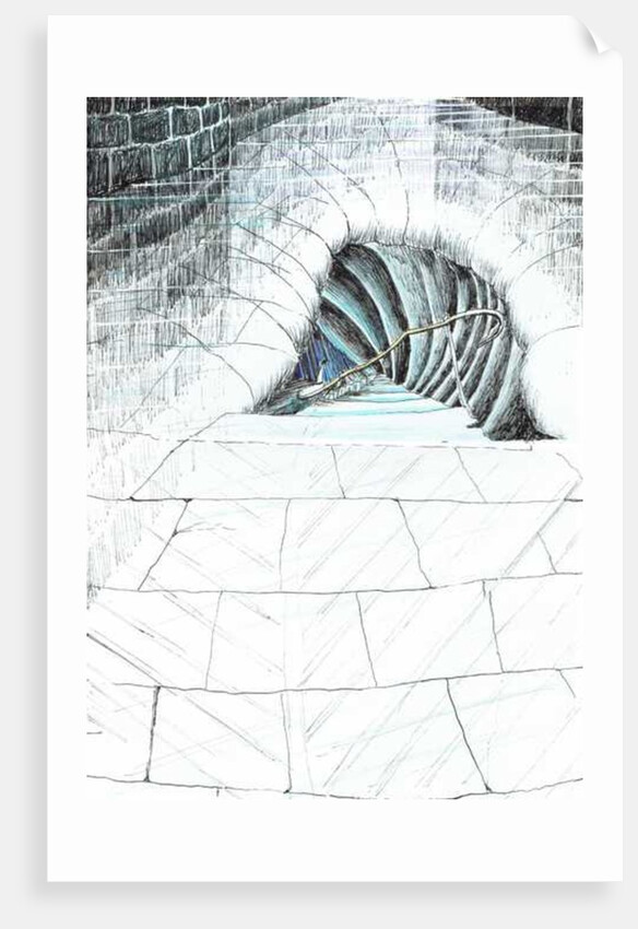 The Castle in the Forest of Findhorn, cellar steps, 2006 by Vincent Alexander Booth